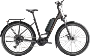 Zing Trip Core (Lowstep)