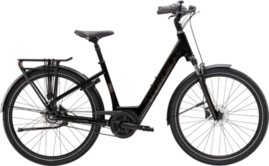 District+ 2 Belt Lowstep