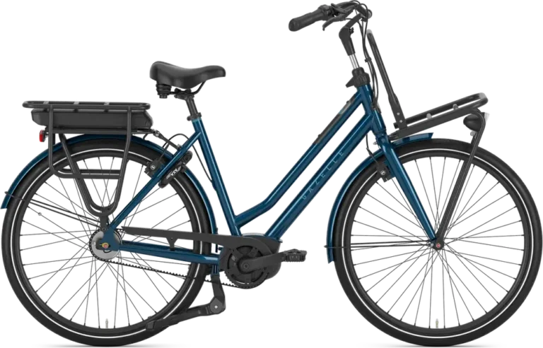 HeavyDutyNL C5 Low-Step