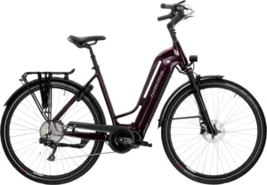 Trans Hybrid Prestige 504