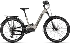 THEOS RSE70 P TITANIUM 29/27.5″ 820 Wh