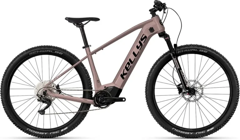 TAYEN R50 P 29″ 820 Wh