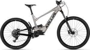THEOS RS10 P TITANIUM 29/27.5″ 725 Wh