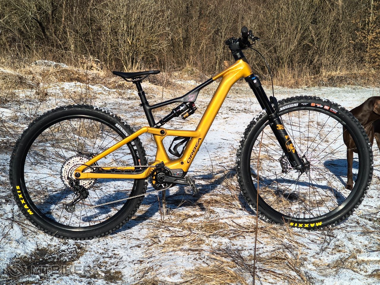 Rower użytkownika Tomek_MTB@gmail.com