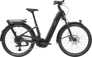 Tesoro 1 Low StepThru