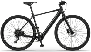 Fitness Ecobike Urban