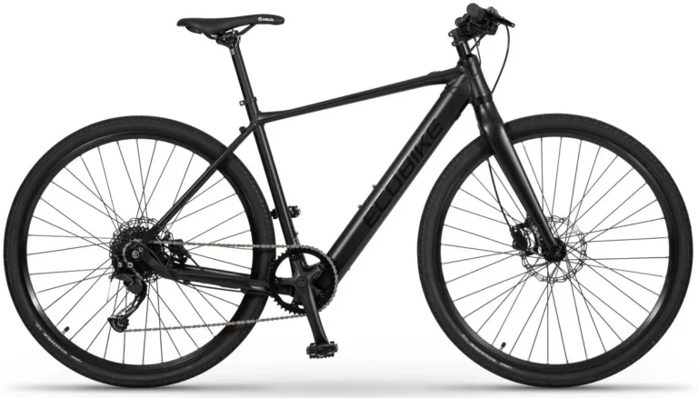 Fitness Ecobike Urban