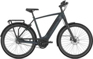 Ultimate C8+ HMB Belt High-Step