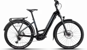 E-Teru Advanced EQ Low