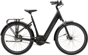 District+ 4 Coaster Belt Lowstep