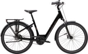 District+ 2 Belt Lowstep