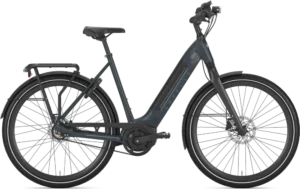 Ultimate C8+ HMB Belt Low-Step