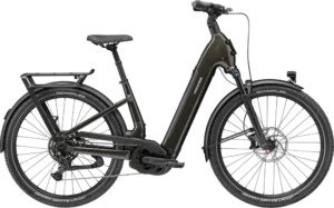 Tesoro 2 Low Step-Thru