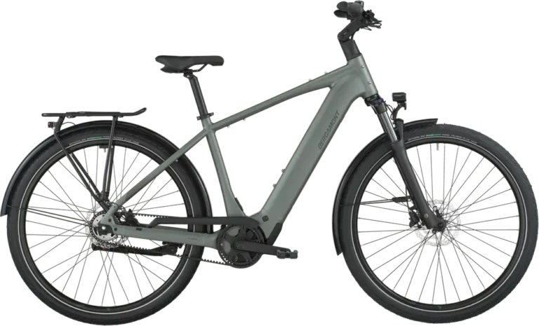 E-Horizon Tour 30 Belt