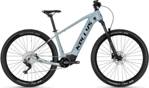 TAYEN R50 LTD 29 725Wh