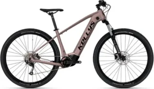 TAYEN R10 P 27.5 725Wh