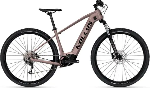 TAYEN R10 P 27.5 725Wh