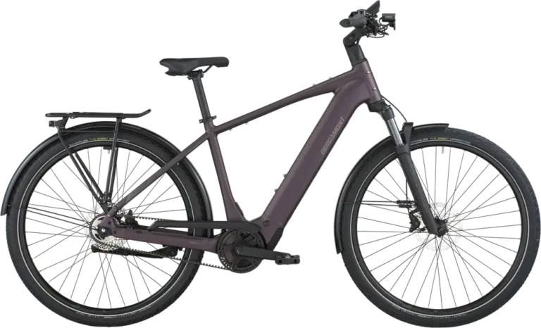 E-Horizon Tour 10 Belt