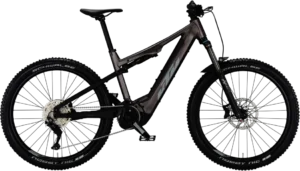 MACINA LYCAN 571 GLORIOUS