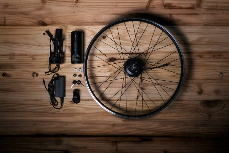 Niezbędnik użytkownika e-bike: Strategia zachowania mobilności i autodiagnostyki w trasie