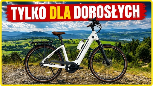Velo de Ville AEB 990 Pro: Luksusowy e-bike z paskiem, cichym silnikiem Bosch i… kierunkowskazami!