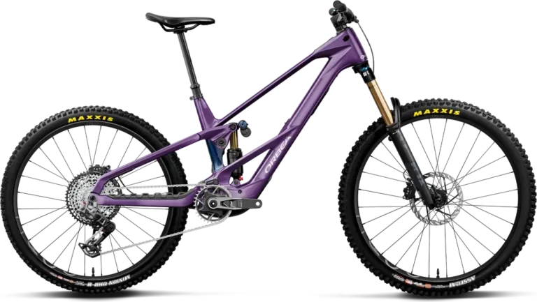 Wild LT M-TEAM RS Mullet