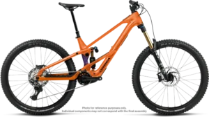 Wild LT H10