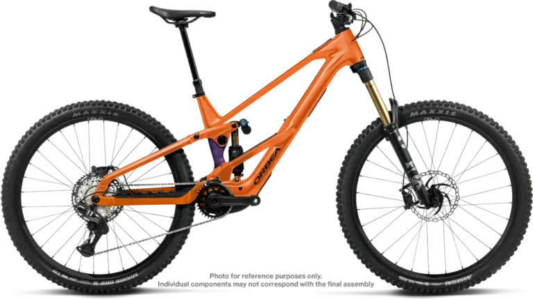 Wild LT H10